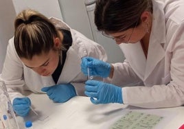 Arduán Formación, la referencia en Formación Profesional Sanitaria de Andalucía