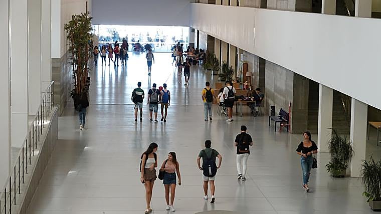 Universidad de Málaga: formación para el éxito profesional