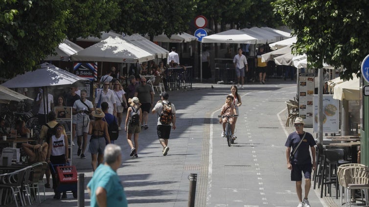El Ayuntamiento de Sevilla mantendrá el carril bici de San Jacinto ante la falta de alternativas