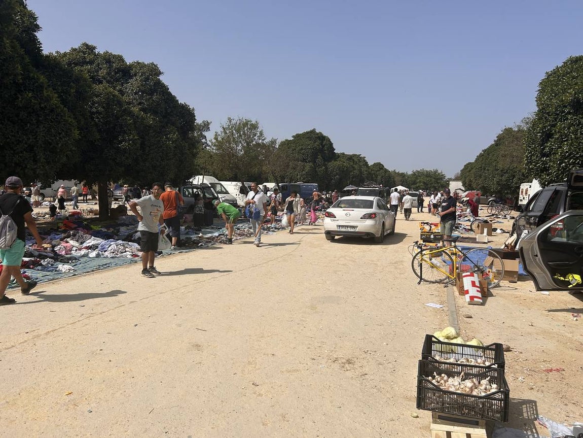 El mercadillo de los domingos en Su Eminencia es un ejemplo de venta ilegal y sin control en la zona