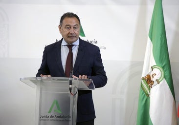 El presidnte del PP de Sevilla, Ricardo Sánchez