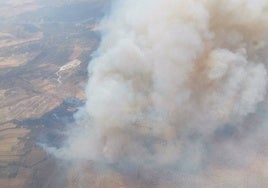 Un incendio forestal afecta a una zona de pasto, cultivo y matorral en Burguillos