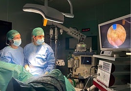 Infanta Luisa de Sevilla apuesta por una nueva técnica para eliminar los cálculos renales complejos