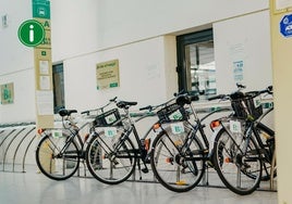 Bicicletas gratis en Sevilla: este es el único requisito que tienes que cumplir