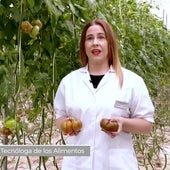 El alimento que recomienda la nutricionista Lorena Fajardo para bajar de peso este verano: «Tiene muchísimas propiedades»