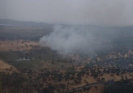 Un incendio en Constantina moviliza a tres grupos de bomberos forestales