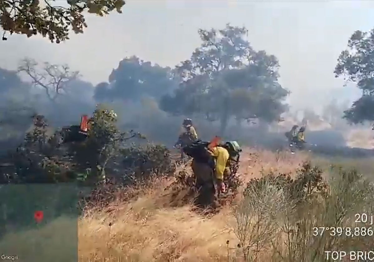 Operarios del Infoca trabajan en la extinción del fuego en Castilblanco de los Arroyos