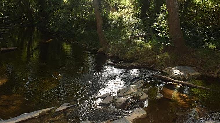 Área recreativa de Isla Margarita