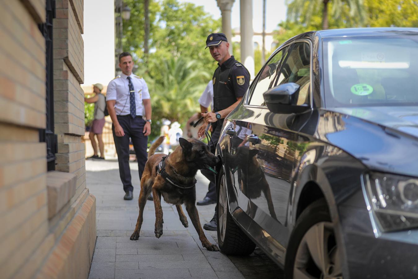 Miembros de la Policía Local y Nacional así como equipos de la Guardia Civil han tomado Sevilla para la Cumbre de la ONU
