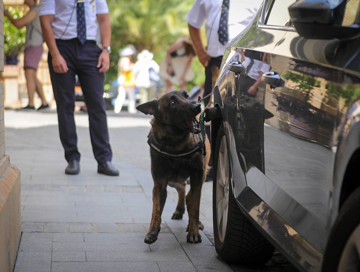 Miembros de la Policía Local y Nacional así como equipos de la Guardia Civil han tomado Sevilla para la Cumbre de la ONU
