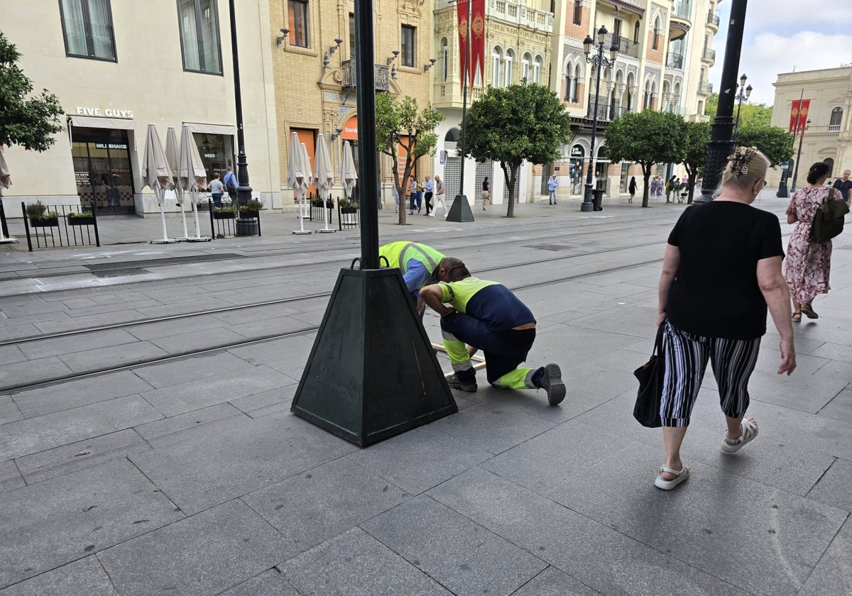 Comienza el montaje de los toldos en la Avenida de la Constitución de Sevilla