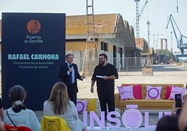 El Puerto de Sevilla aprueba tras 7 años el documento que define las zonas de servicio y usos previstos