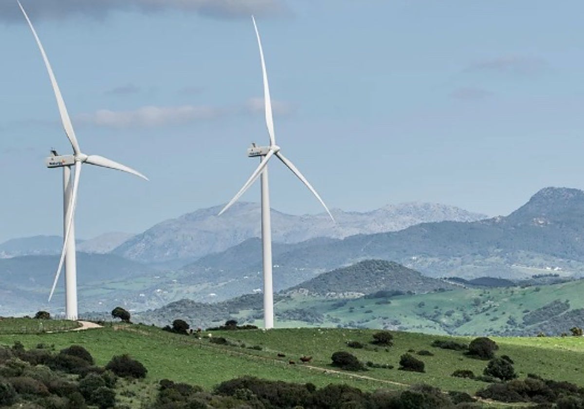 Imagen de archivo de un parque eólico