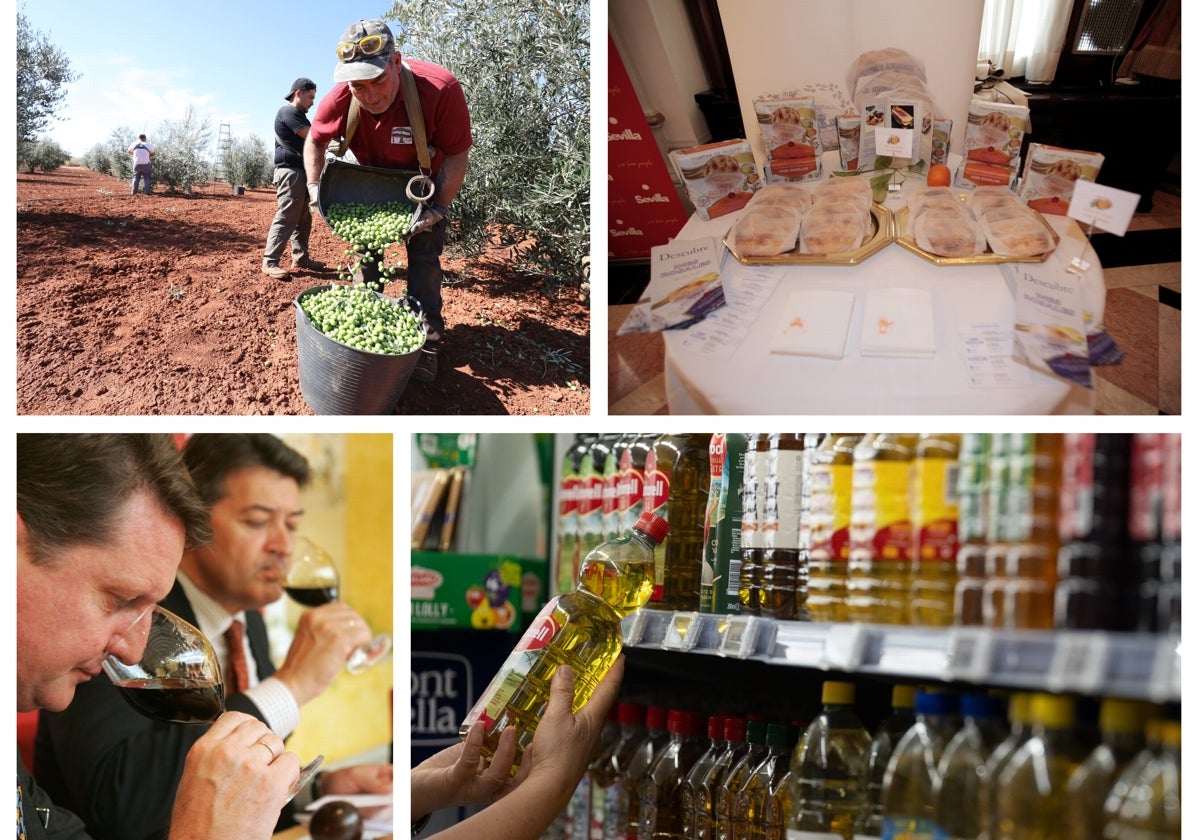Aceituna de mesa, productos elaborados como las tortas de Inés Rosales, el vino y el aceite de oliva triunfan en EE.UU.