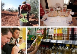 El agroalimentario andaluz resistirá ante los aranceles por el alto valor de los productos