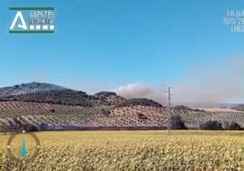 Medios aéreos y  terrestres trabajan para sofocar un incendio declarado en Morón de la Frontera