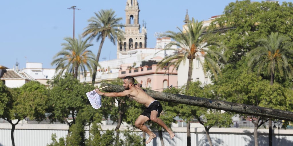 Este es el motivo por el que la cucaña de la Velá Triana resbala tanto