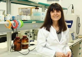 La investigadora de la UPO Agnès Gruart, premiada por la Sociedad Española de Neurociencia