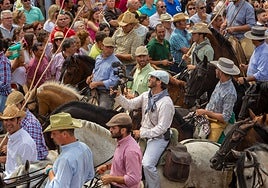 Manu Trillo:  «Doñana, la Marisma y el Bajo Guadalquivir ejercen una atracción brutal para el que aprecia mirar al infinito»