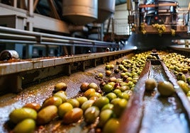 Resignación en el agro: los aranceles de Trump tendrán un impacto de 500 millones en Andalucía