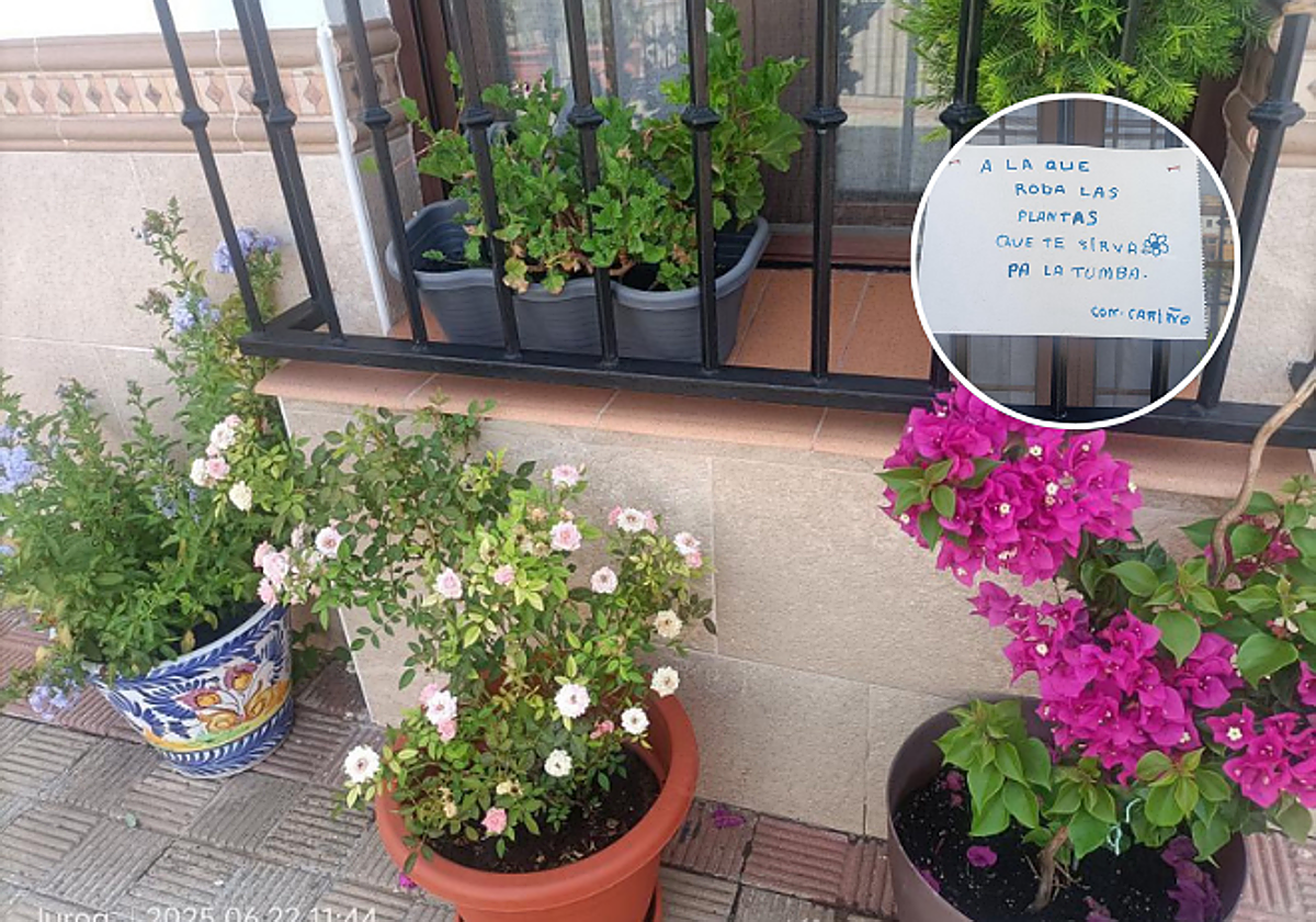 Imagen de las plantas de una de las vecinas y el cartel dirigido a la supuesta ladrona