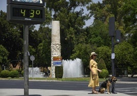 La ola de calor se alargará en Sevilla más allá del fin de semana: «Vamos hacia temperaturas que podrían alcanzar los 44 grados»