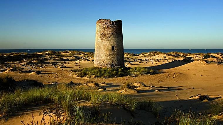 Torre Carbonera o Carbonero, una de las mejore conservadas en la actual Playa del Coto de Doñana