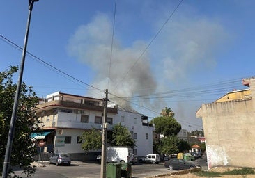 Controlado el incendio de Itálica, que seguirá con normalidad las visitas