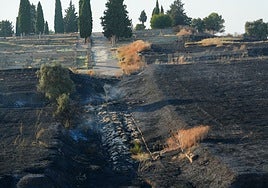 La Guardia Civil investiga las causas del incendio de Itálica en Santiponce