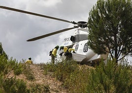 El incendio de Guadalcanal deja un saldo de más de 600 olivos afectados tras comenzar en una cuneta