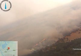 Declarado un incendio forestal en Sanlúcar la Mayor cerca del Corredor Verde del Guadiamar