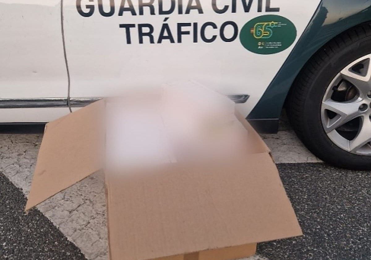 Cajetillas de tabaco de contrabando decomisadas en la autovía de Coria