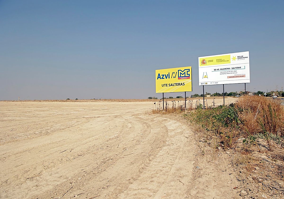Zona de Valencina en cuyo entorno han sido hallados los restos