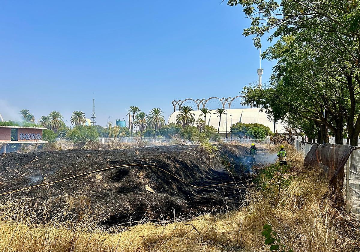 Las llamas en el interior de la parcela del desaparecido Palenque