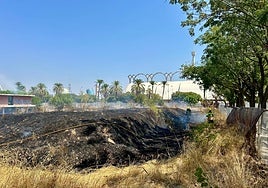 Sale ardiendo la parcela abandonada del antiguo Palenque de la Expo 92