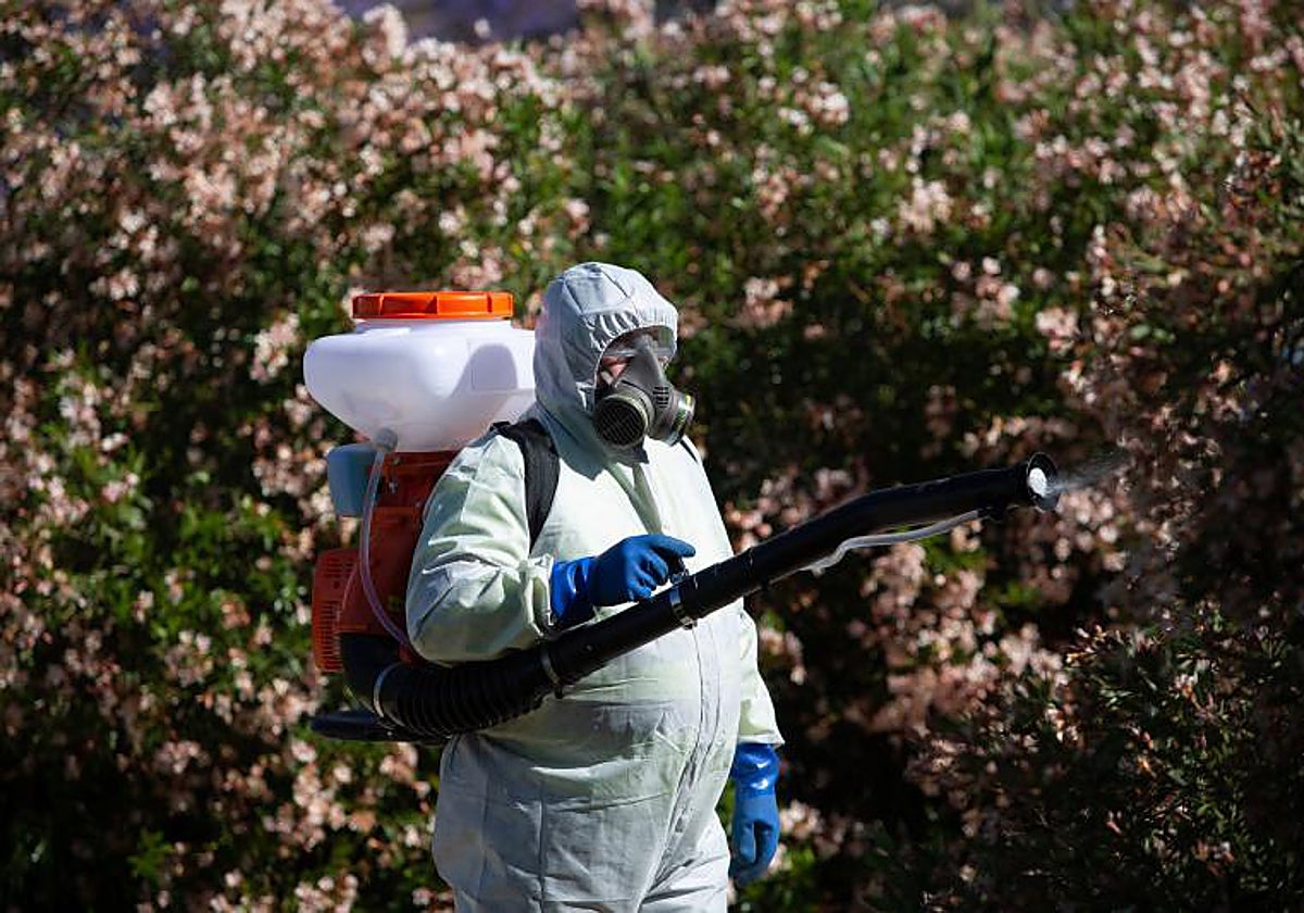 Imagen de archivo de una fumigación contra el virus del Nilo en Coria del Río
