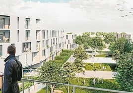 El PSOE de Sevilla 'frena' el barrio del Cortijo de Cuarto que proyecta la Diputación