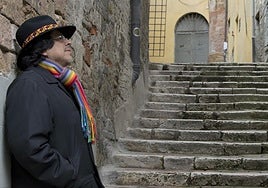 Fernando Iwasaki y Remedios Malvárez protagonizan una nueva sesión del ciclo sobre flamenco Amalgama