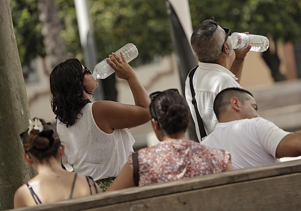 Las altas temperaturas han sido constantes este verano