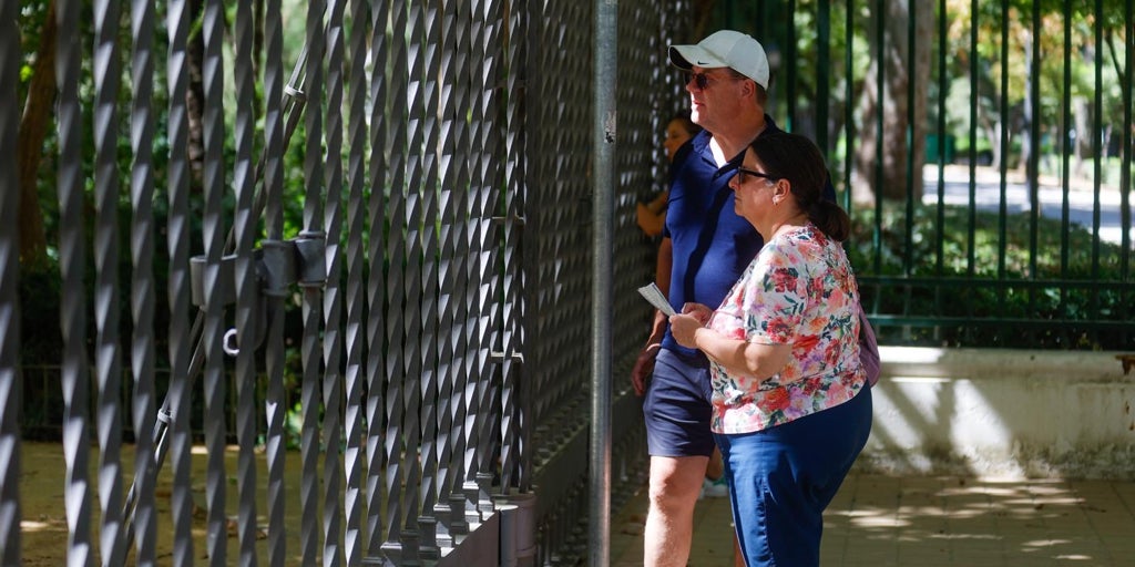 El Gobierno confirma dos brotes por gripe aviar, uno en el Alcázar de Sevilla y otro en La Puebla del Río