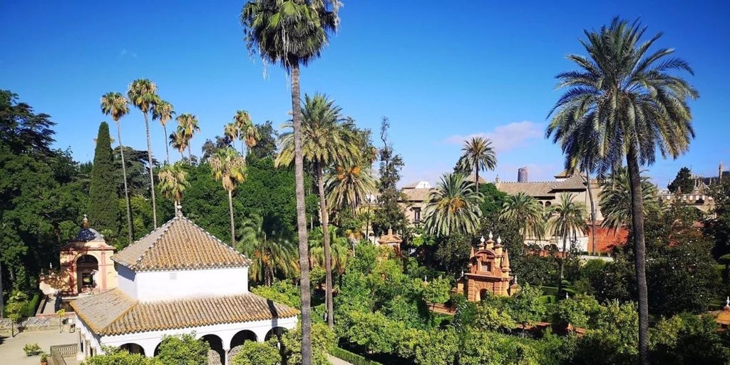 Reabren al público los Jardines del Alcázar de Sevilla tras el brote de gripe aviar