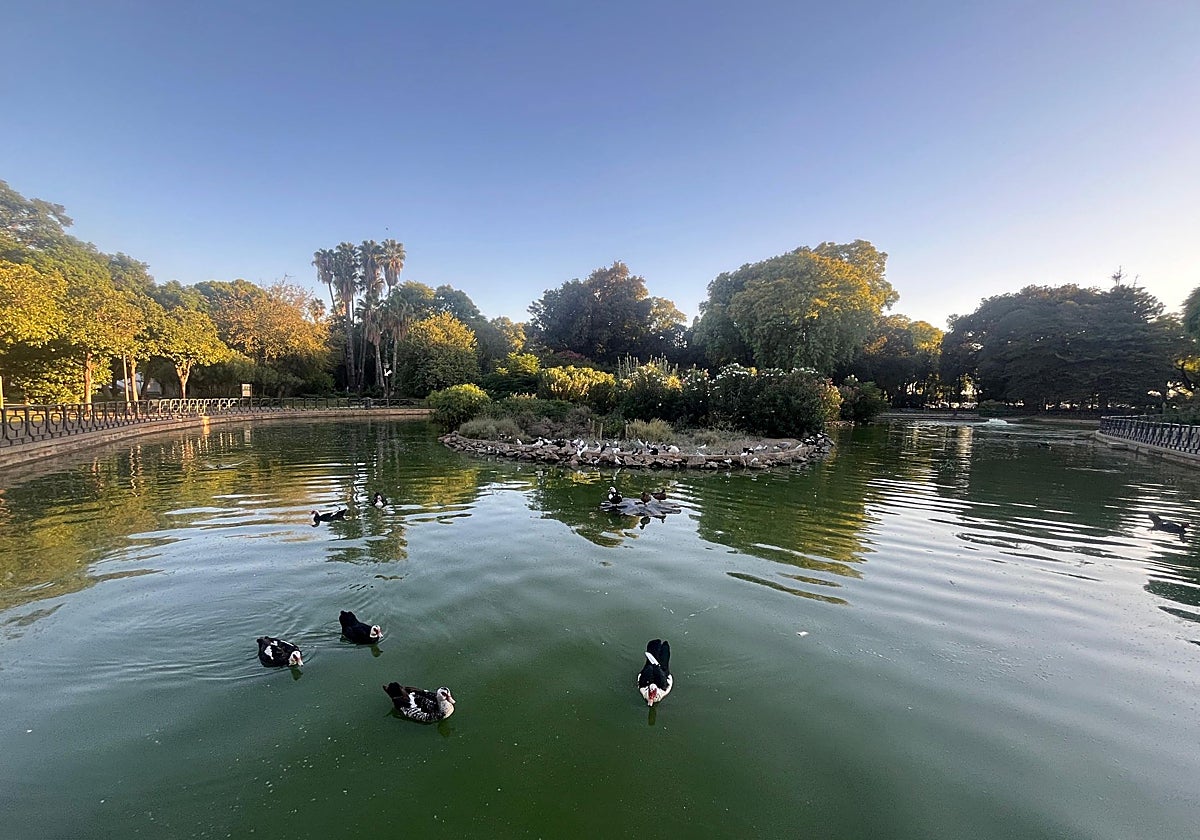 El Parque de los Príncipes, donde se han registrado dos aves muertas más