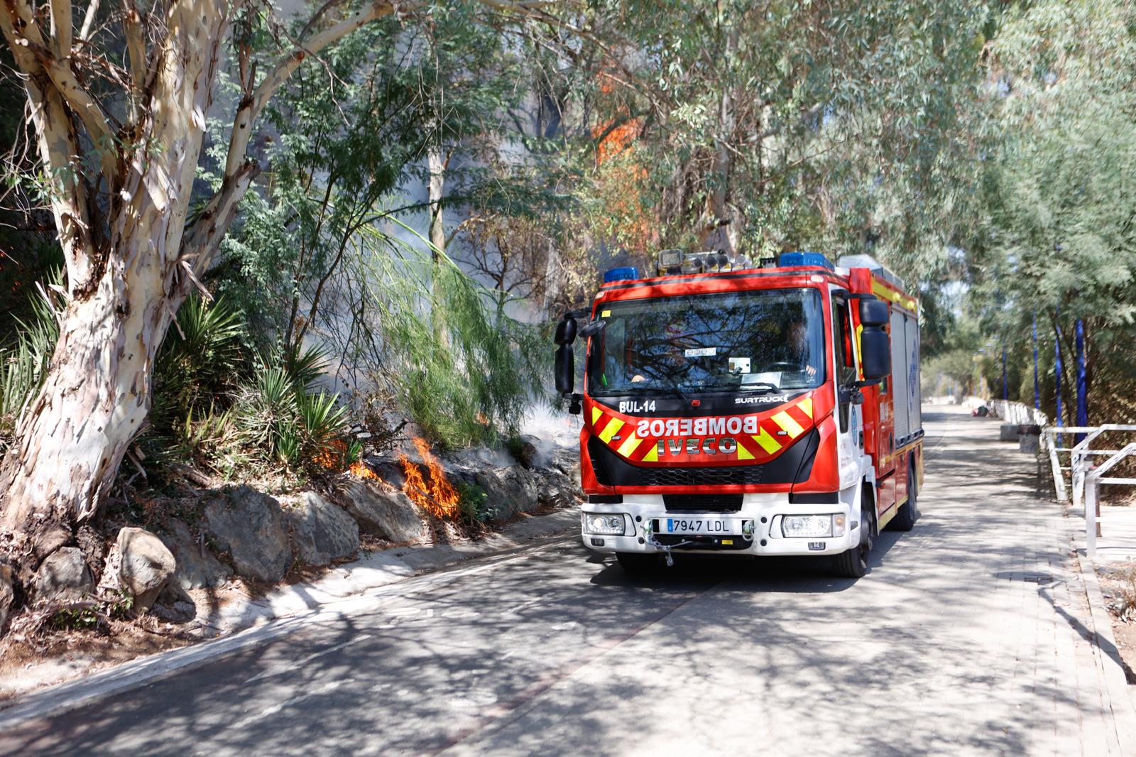 El incendio de la arboleda junto al Auditorio Rocío Jurado de la Cartuja, en imágenes