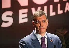 Sánchez sigue sin dar el diploma a los 300 voluntarios que participaron en la Cumbre de la ONU en Sevilla