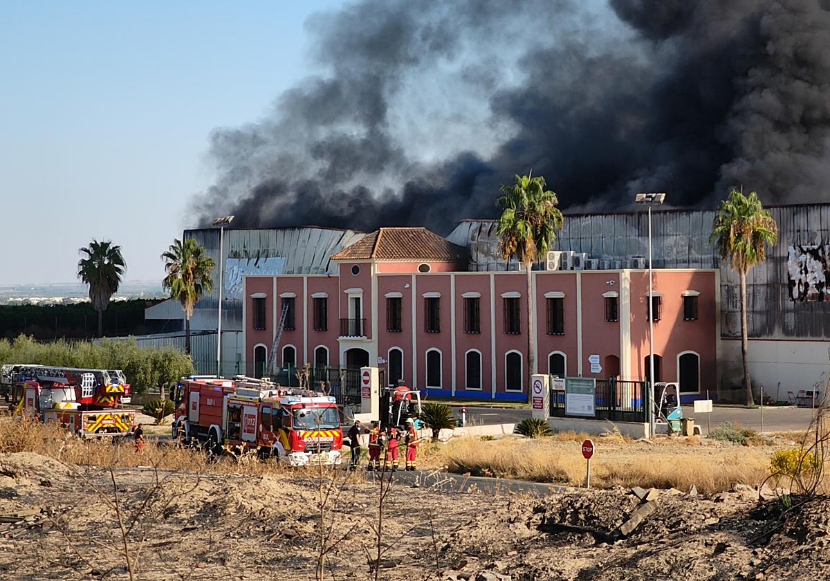 Imágenes del incendio en la fabrica Huerta Campo Rico, en el municipio sevillano de Burguillos