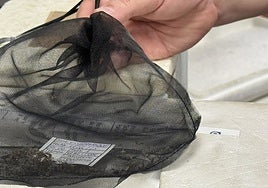 Salud declara la alerta en Gerena tras confirmarse la presencia del virus del Nilo