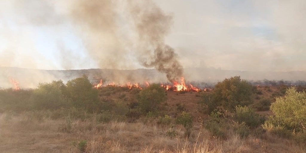 Declarado un incendio forestal en El Castillo de las Guardas