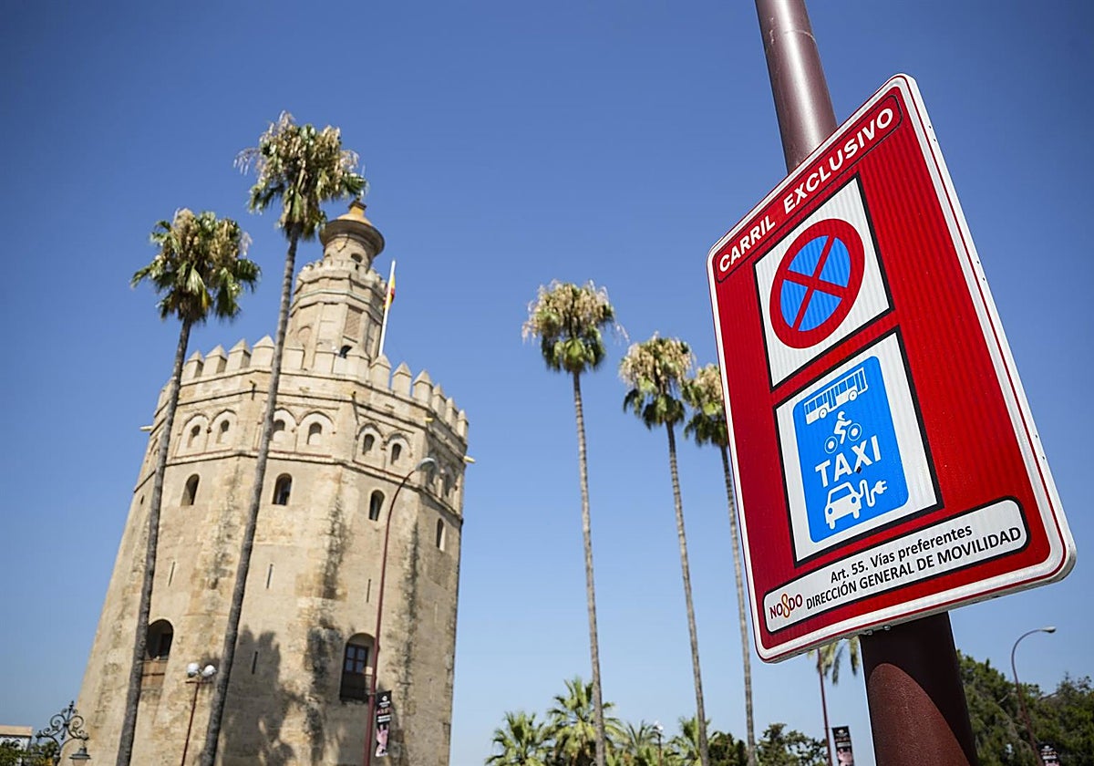 Las cámaras de los carriles bus empezaron a multar a los vehículos este pasado verano