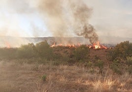 Mete fuego en Doñana con un incendio de cuatro focos y se libra de la cárcel