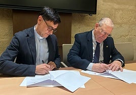 El Cabildo Catedral cede la gestión de las sillas para la Semana Santa en Virgen de los Reyes al Consejo de Cofradías